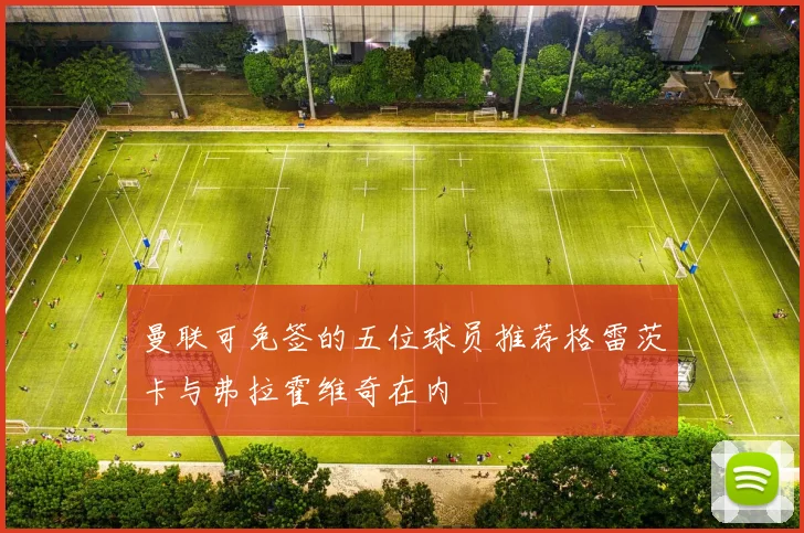 曼联可免签的五位球员推荐格雷茨卡与弗拉霍维奇在内