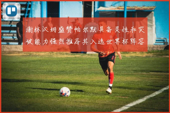 谢林汉姆盛赞帕尔默具备灵性和突破能力强烈推荐其入选世界杯阵容